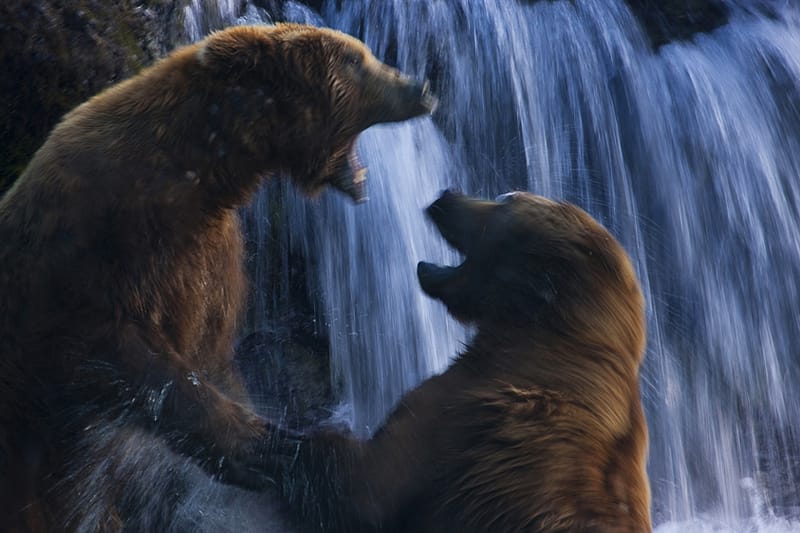Bristol Bay, Alaska 13